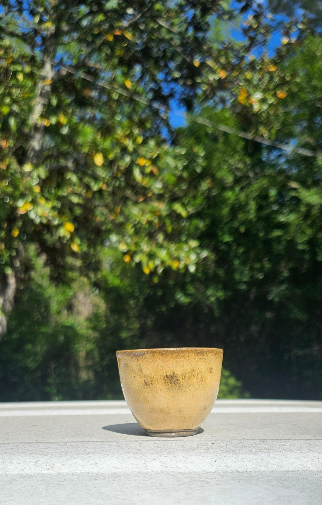 Set of 4 Tea & Sipping Cups