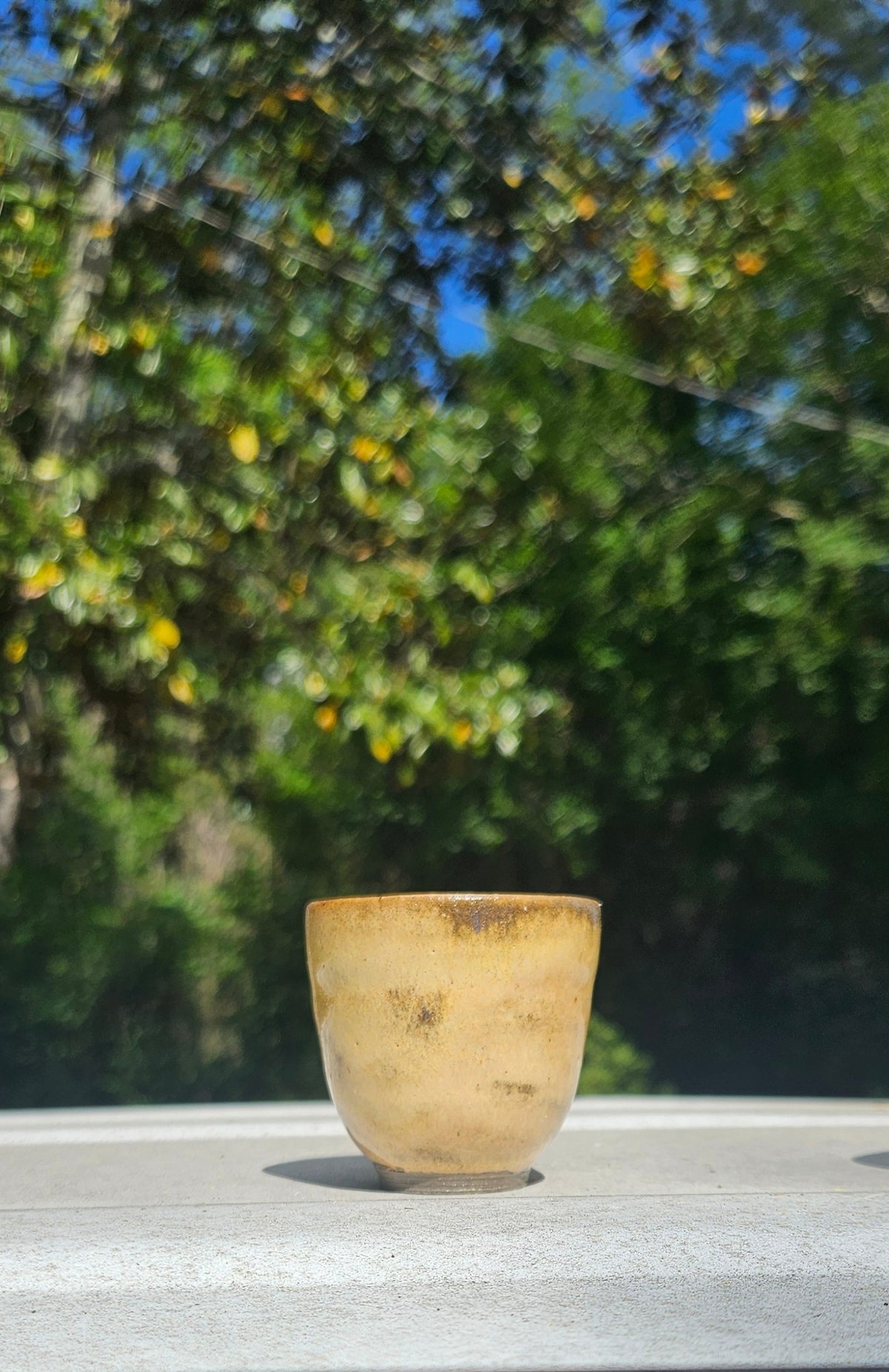 Set of 4 Tea & Sipping Cups