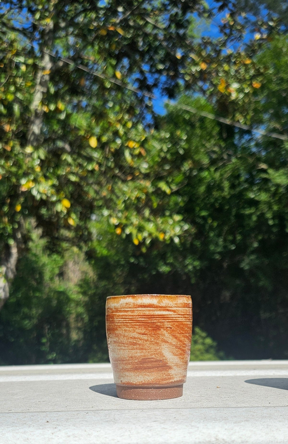 Set of 2 Shot Glasses