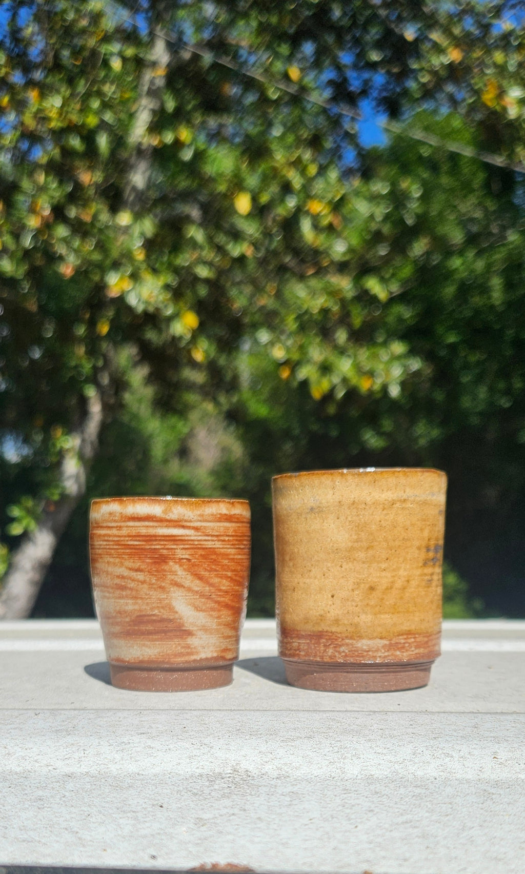 Set of 2 Shot Glasses