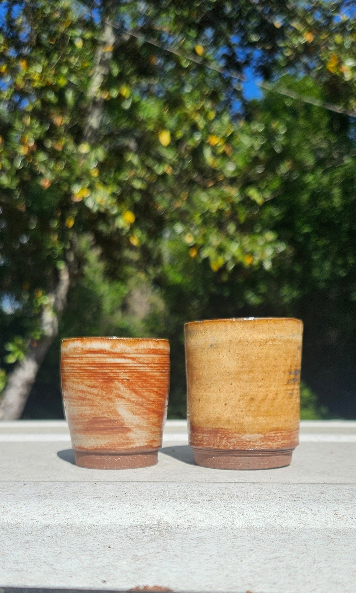 Set of 2 Shot Glasses
