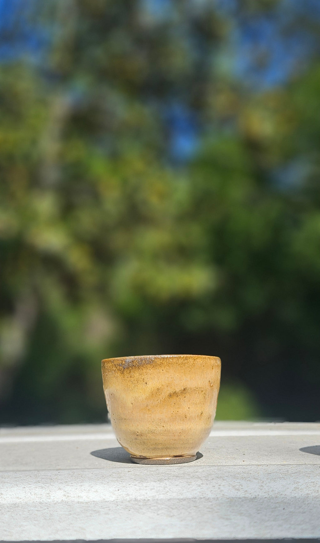 Set of 4 Tea & Sipping Cups