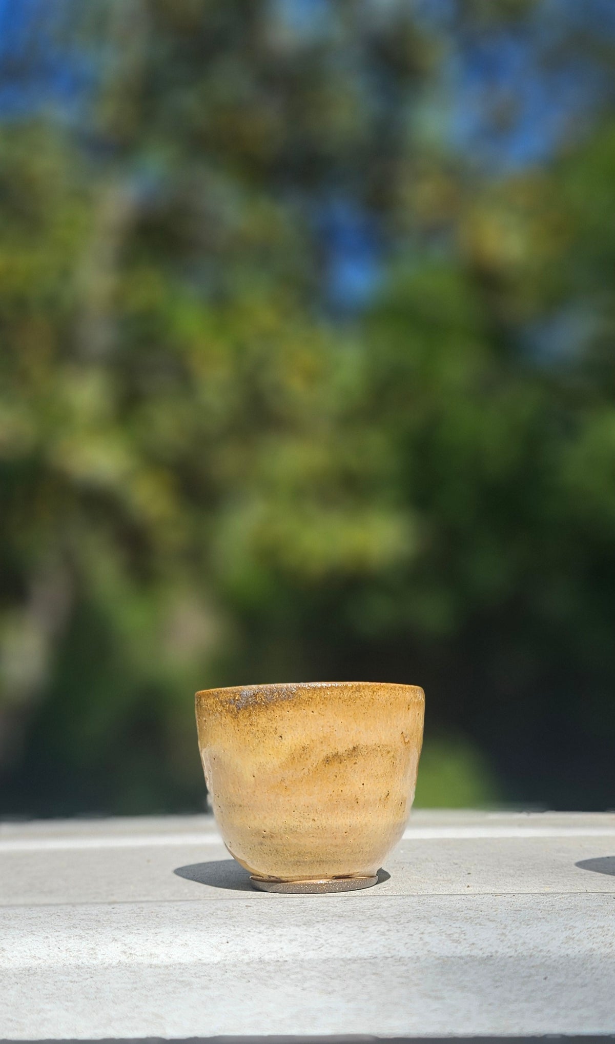 Set of 4 Tea & Sipping Cups