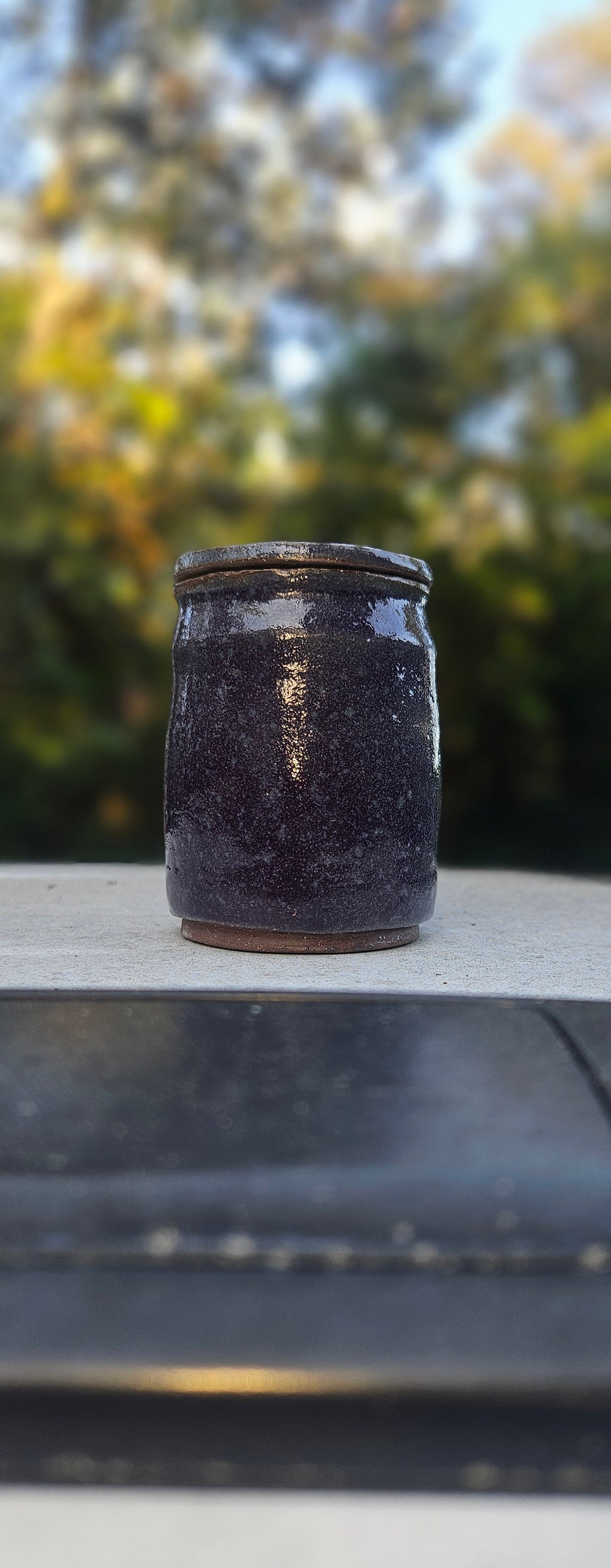 Jar in Purple