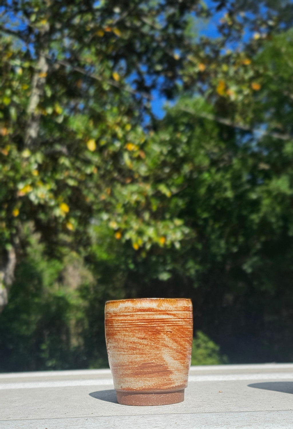 Set of 2 Shot Glasses
