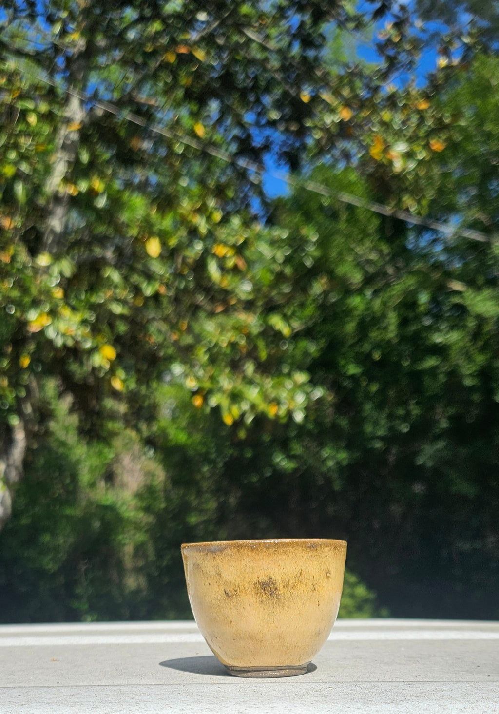 Set of 4 Tea & Sipping Cups