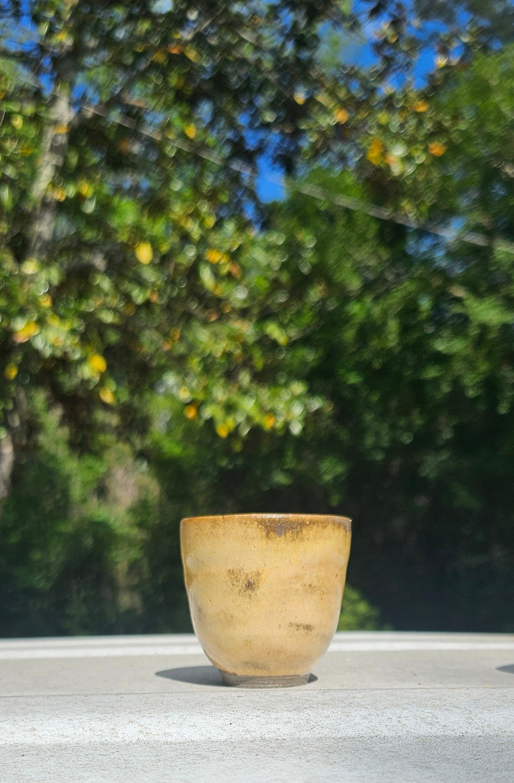 Set of 4 Tea & Sipping Cups