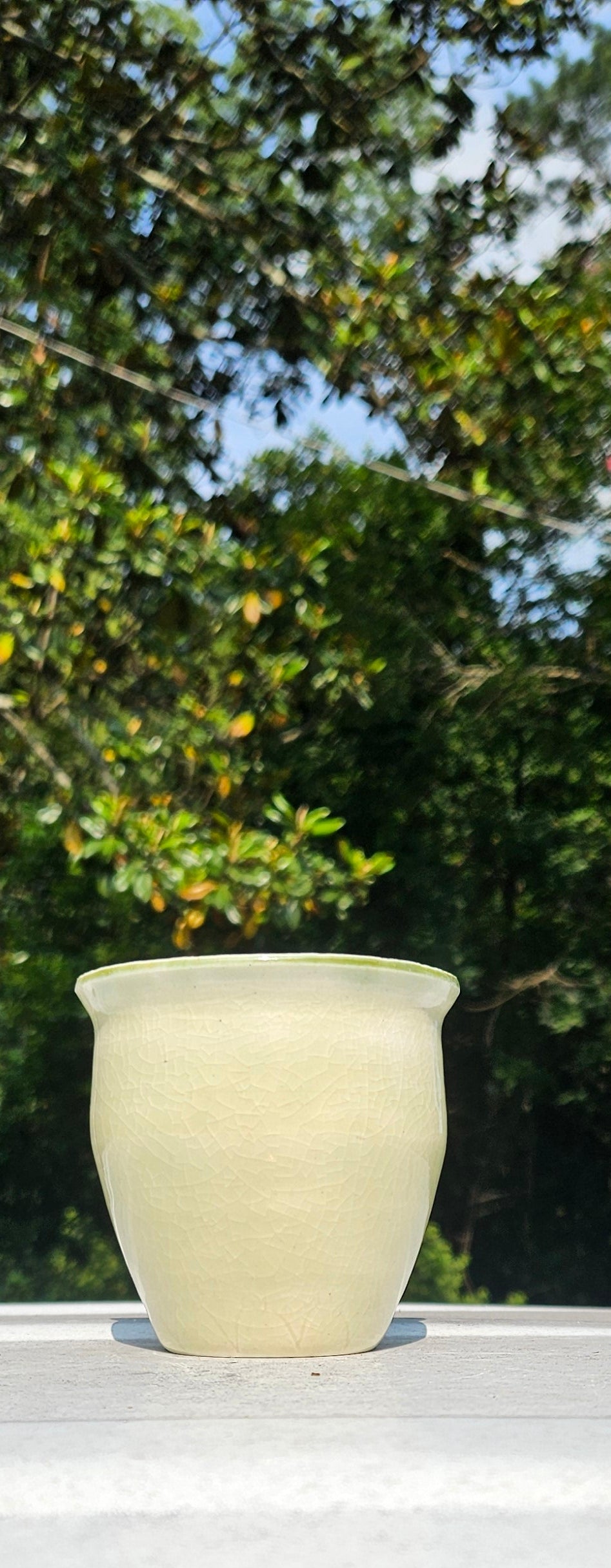 Vase in Cream