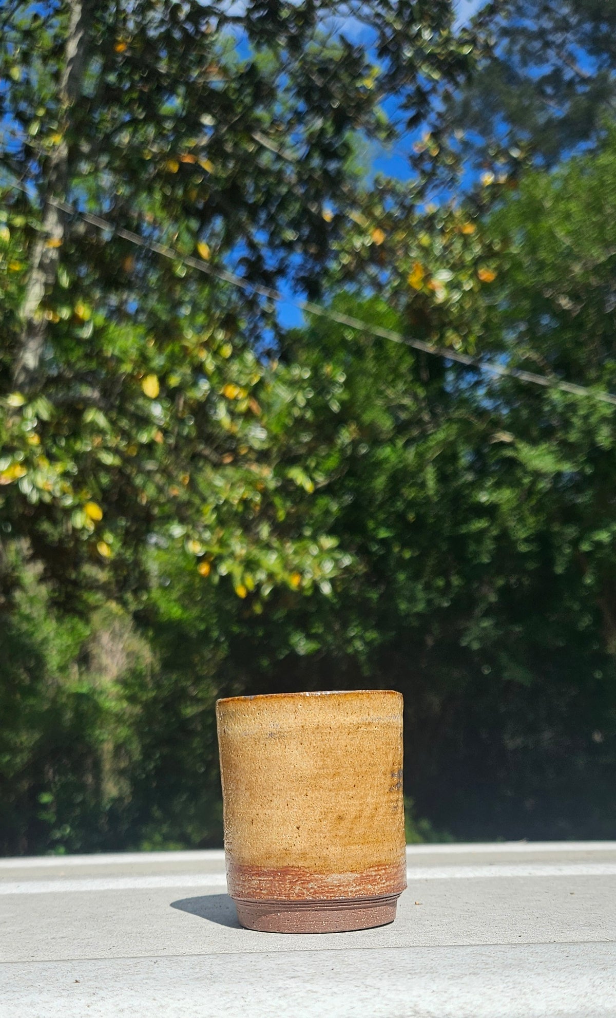 Set of 2 Shot Glasses